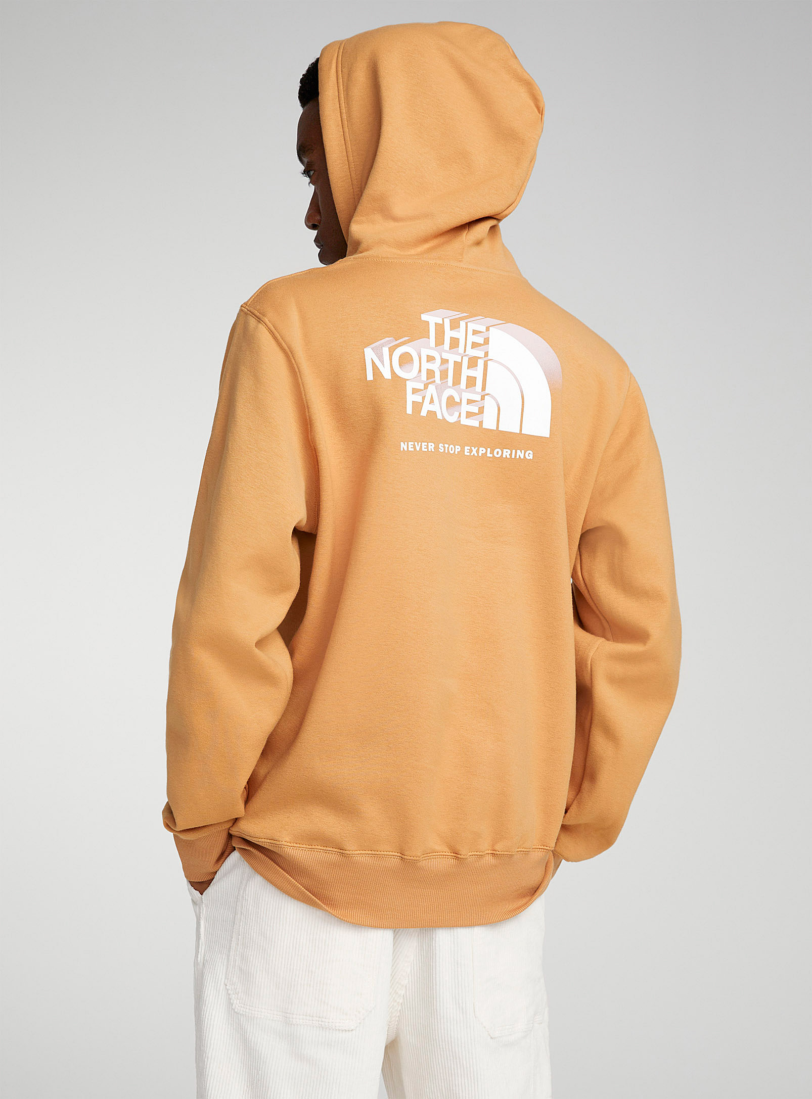 The North Face Box Nse Hoodie In Fawn