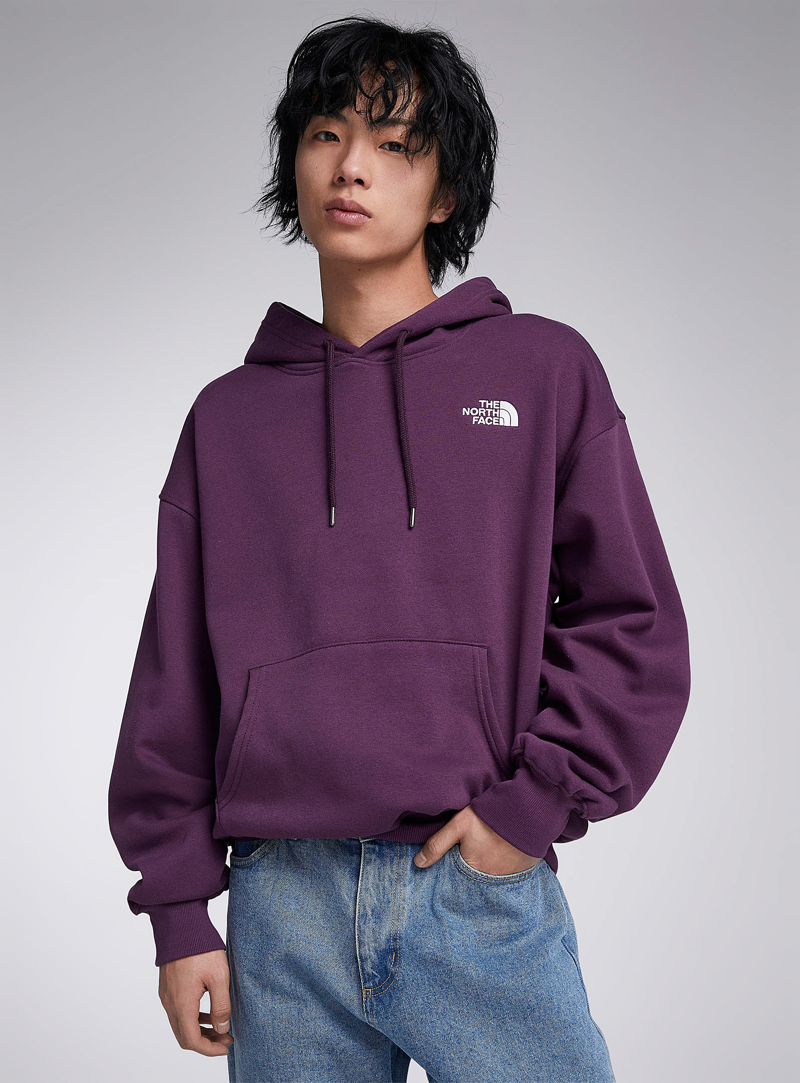 The North Face Evolution Vintage Hoodie In Mauve