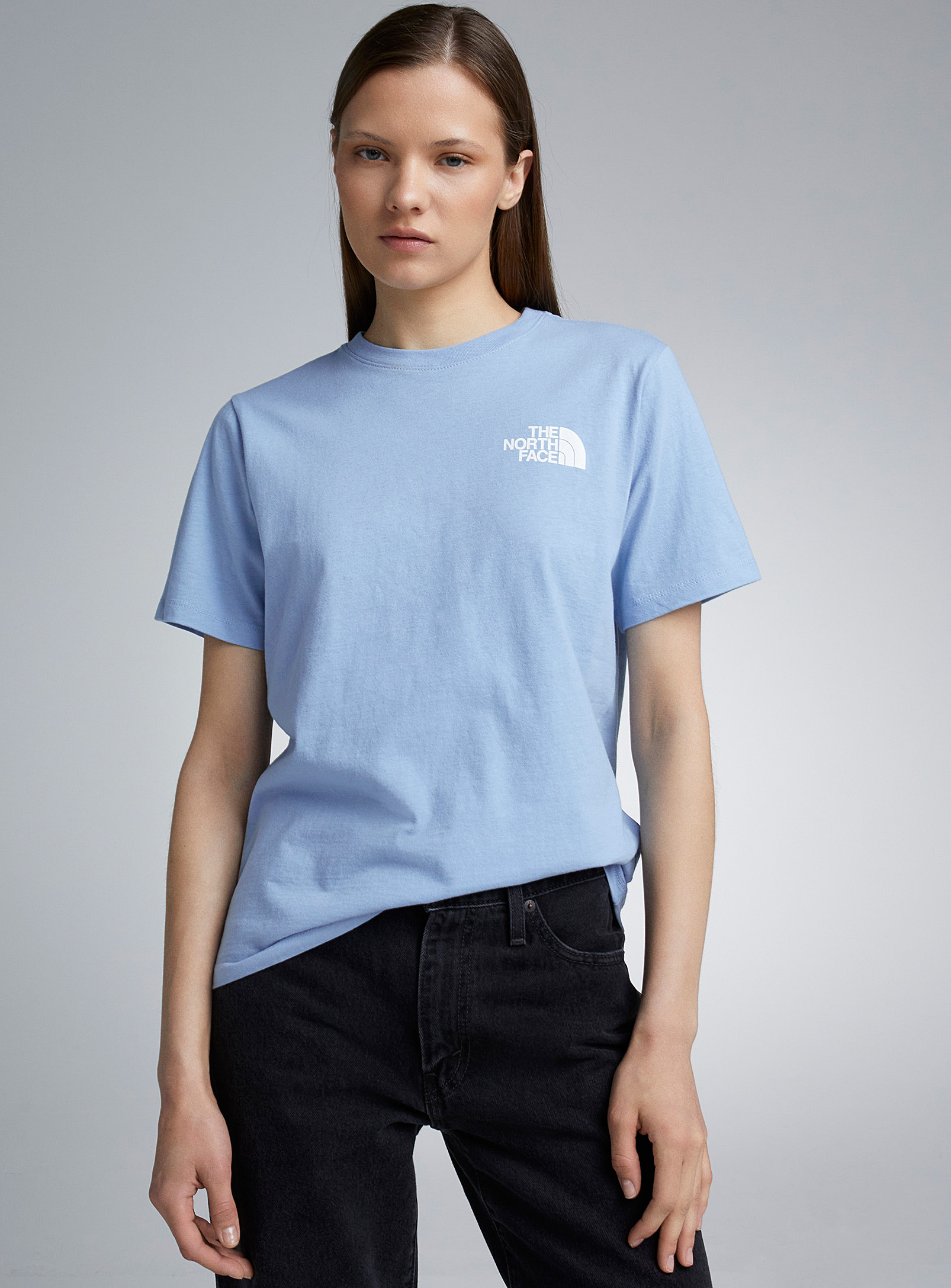 The North Face Box Nse Logo Tee In Slate Blue
