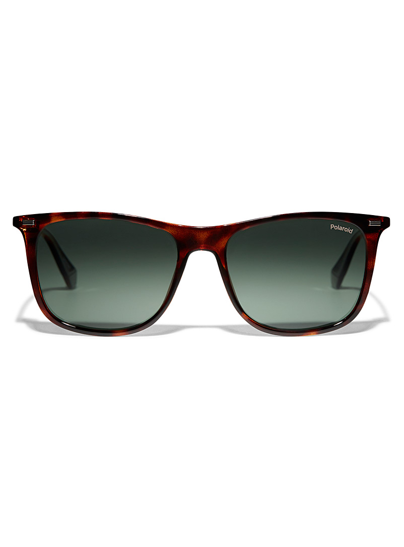 Polaroid Green Accent groove square sunglasses for men