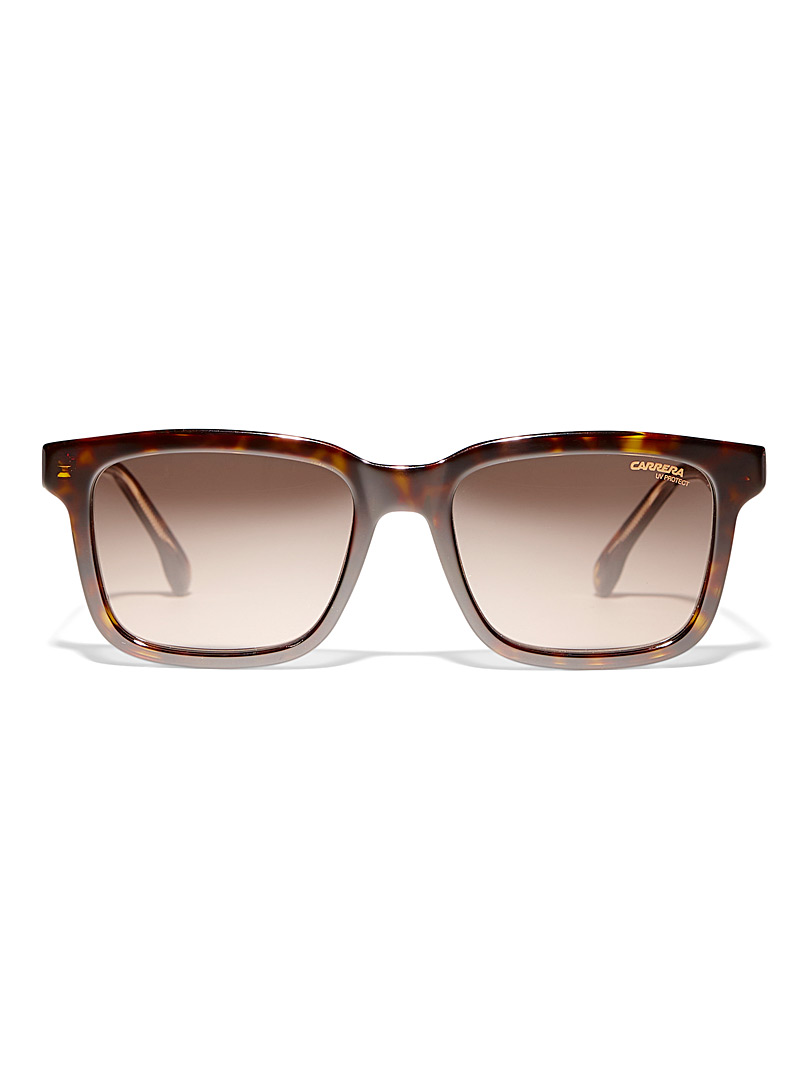 Carrera Brown Ultra-shiny square sunglasses for men