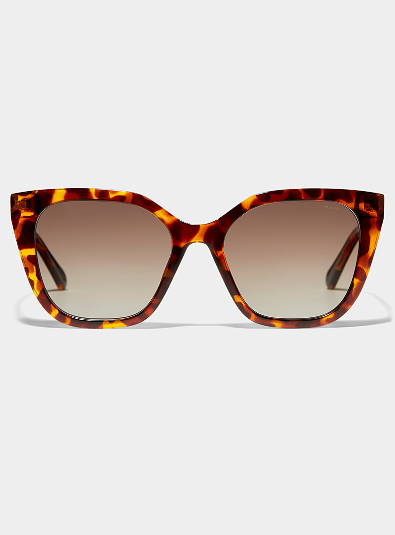 Fossil Light Brown Cat-eye square sunglasses for women