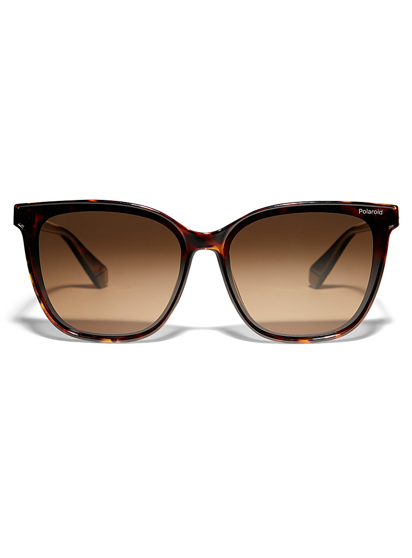 Polaroid Light Brown Classic cat-eye sunglasses for women