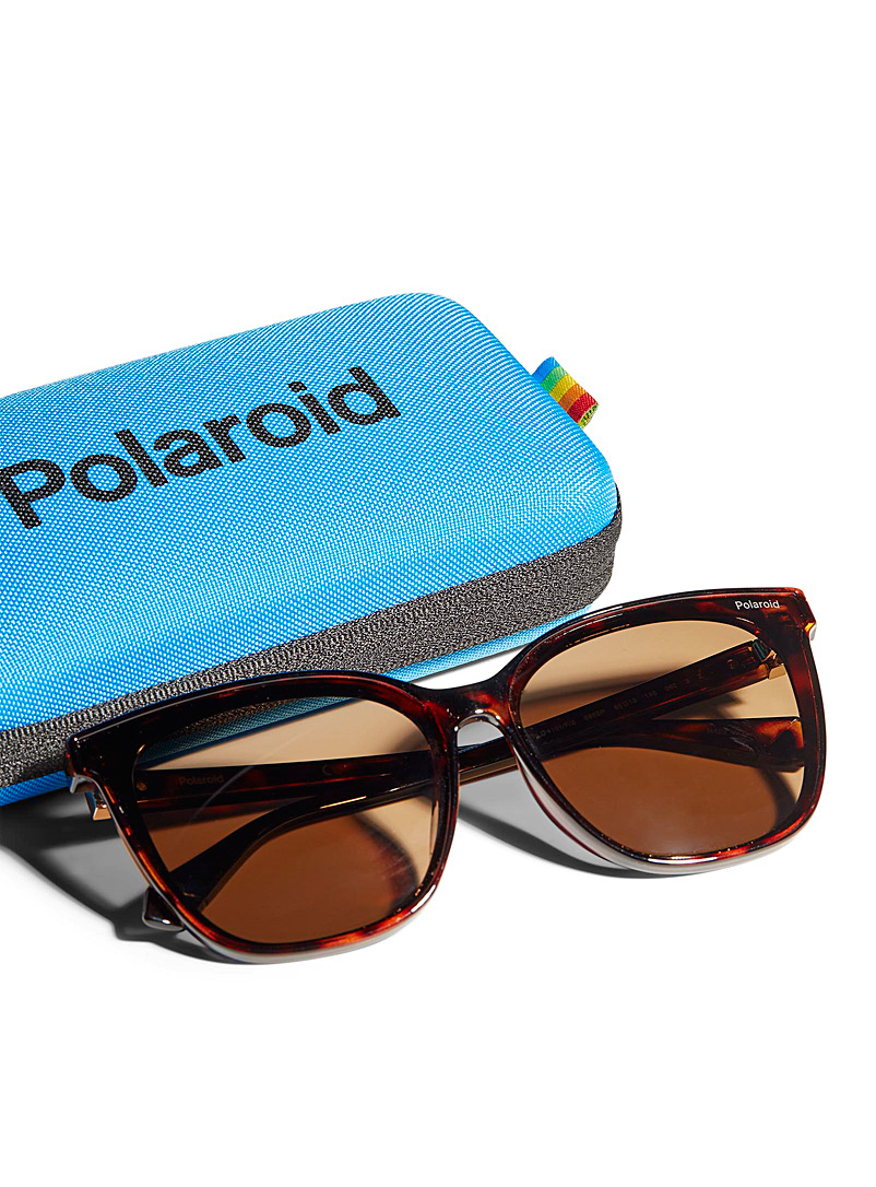 Polaroid: Les lunettes de soleil oeil de chat classique Brun pâle-taupe pour femme
