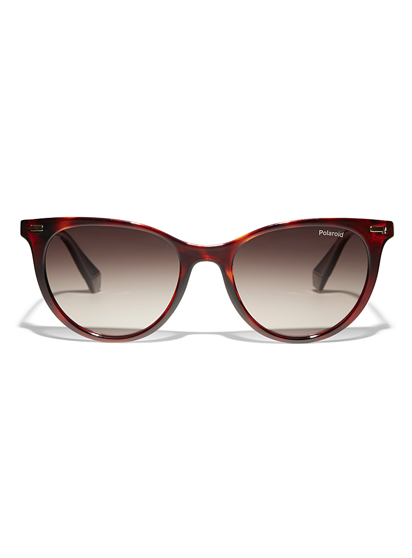 Polaroid Light Brown Cat-eye sunglasses for women