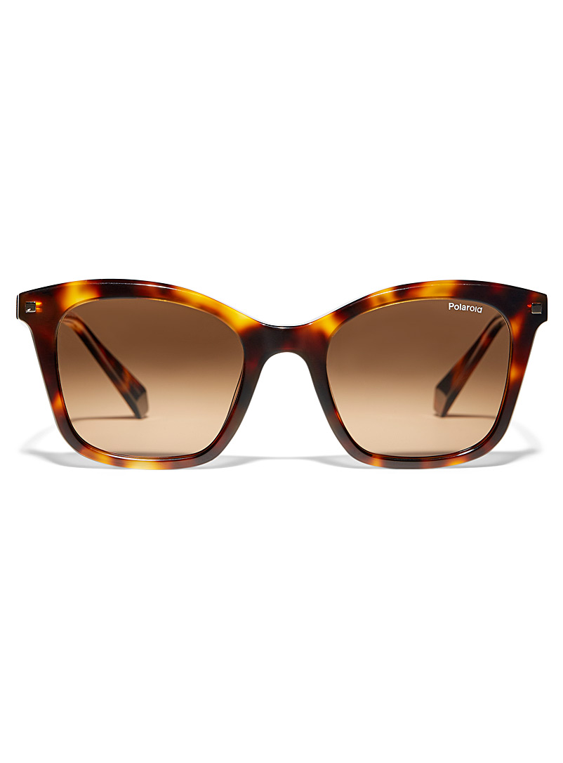 Polaroid Light Brown Retro square sunglasses for women