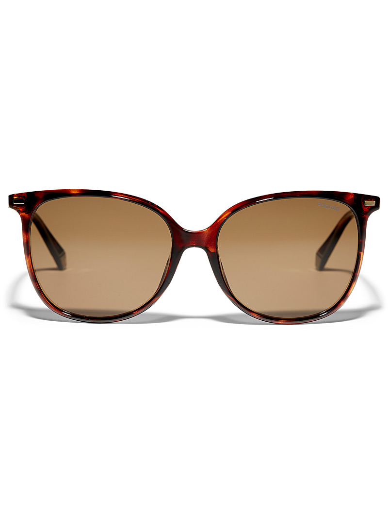 Polaroid: Les lunettes de soleil arrondies Brun pâle-taupe pour femme