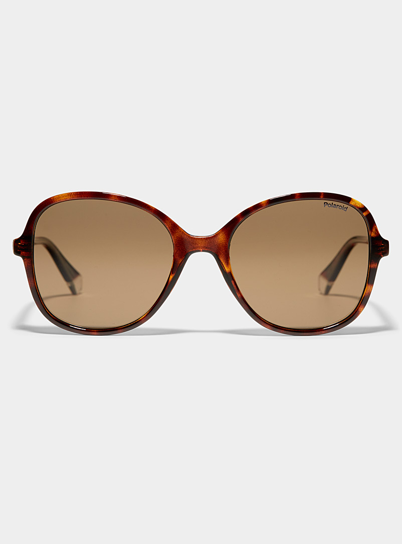 Polaroid: Les lunettes de soleil mouche fine monture Brun pâle-taupe pour femme