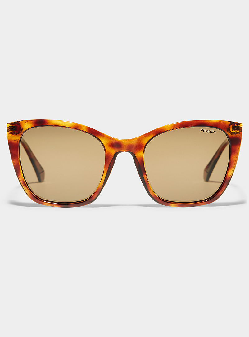 Polaroid Light Brown Square cat-eye sunglasses for women