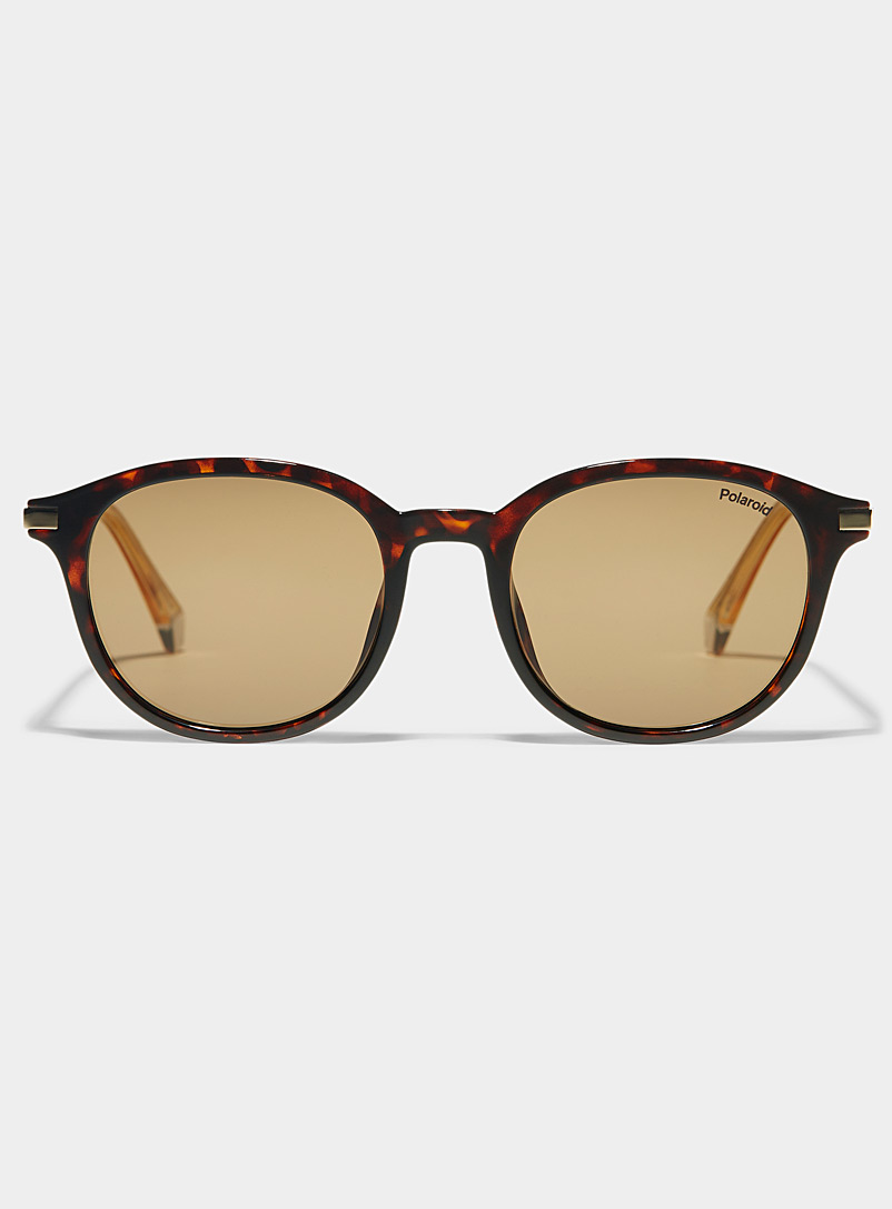 Polaroid Light Brown Tortoiseshell round sunglasses for women