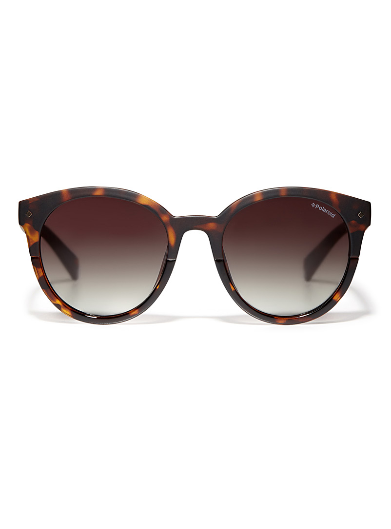 Polaroid: Les lunettes de soleil rondes 6043/S Brun pâle-taupe pour femme