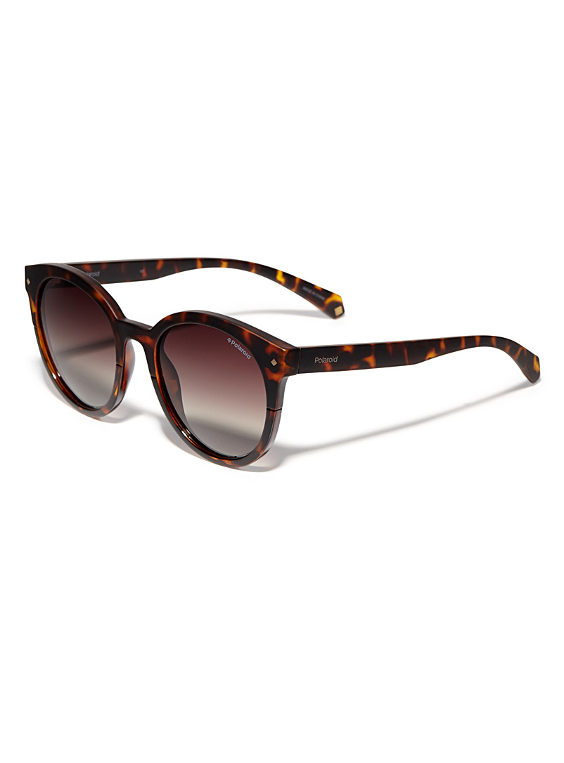 Polaroid Light Brown 6043/S round sunglasses for women