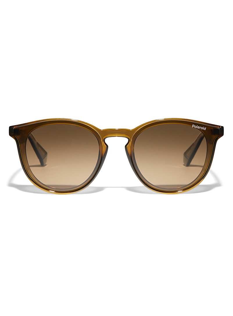 Polaroid: Les lunettes de soleil rondes minimalistes Vert foncé-mousse-olive pour femme
