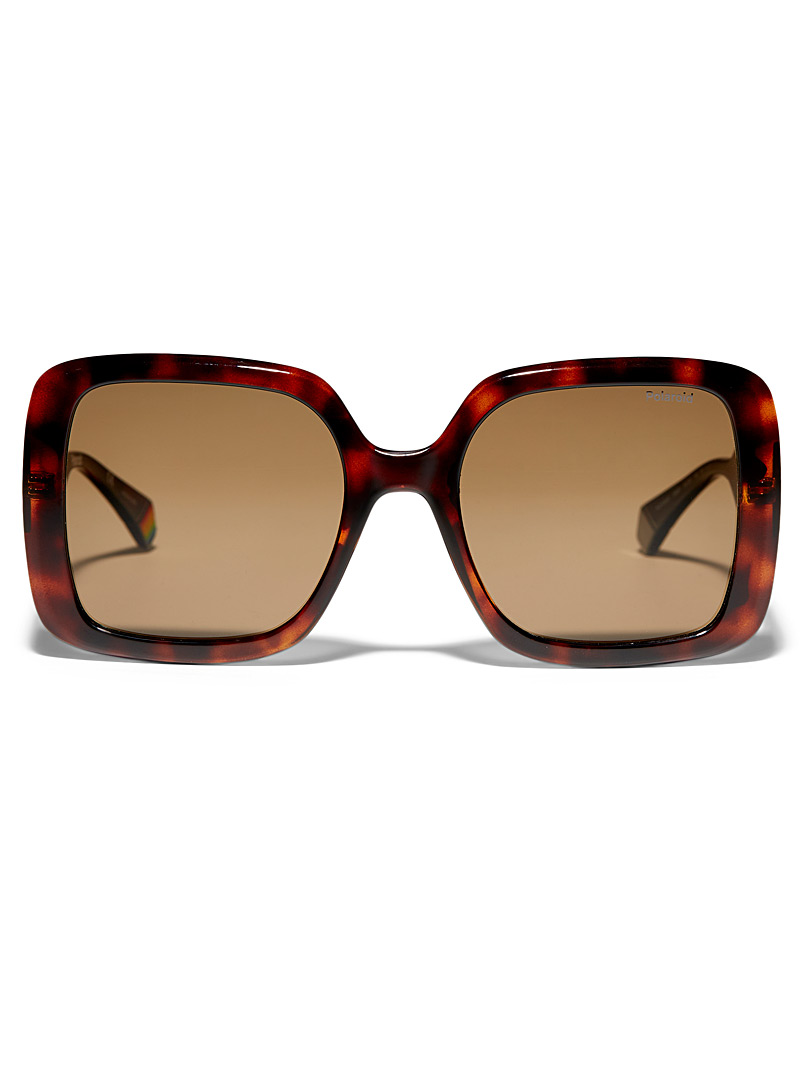 Polaroid: Les lunettes de soleil surdimensionnées carrées Brun pâle-taupe pour femme