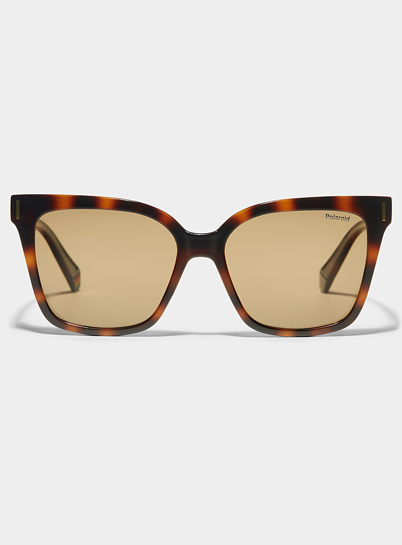 Polaroid Light Brown Gold-accent square sunglasses for women