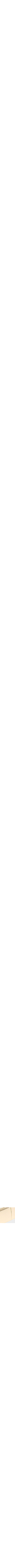 Assorti