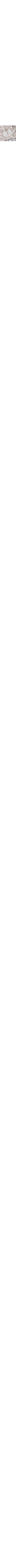 Gris à motifs