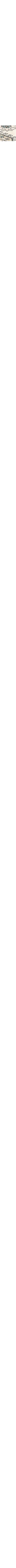 Gris à motifs