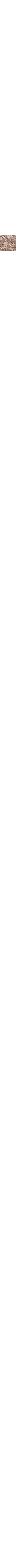 Écru à motifs