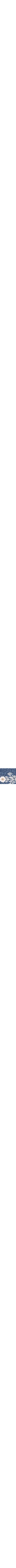 Patterned Blue