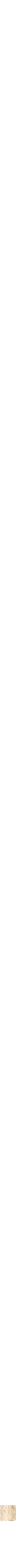 Assorti