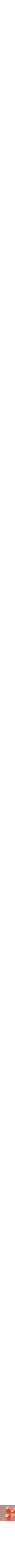Assorti