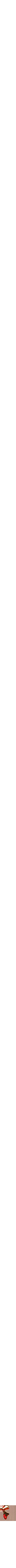 Assorti