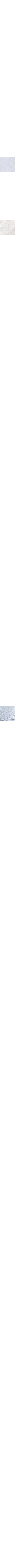 Écru - Lin