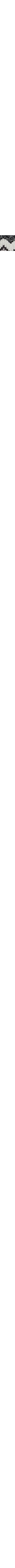Blanc à motifs