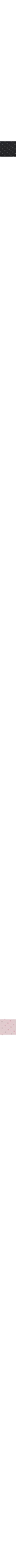 Noir - Pois