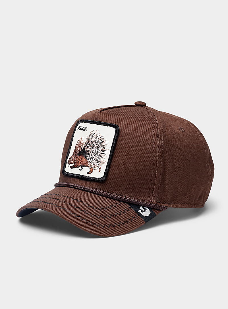 Goorin Bros. Brown Porcupine trucker cap for men
