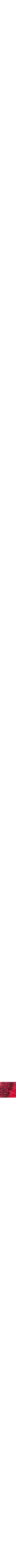 Rouge à motifs
