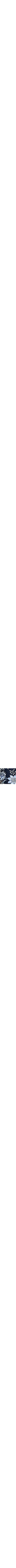 Patterned Blue