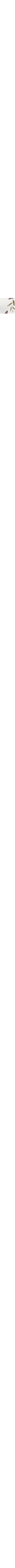 Blanc à motifs