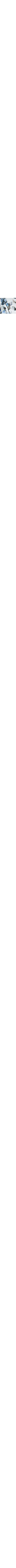 Blanc à motifs