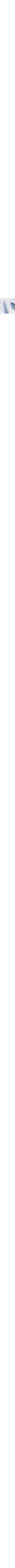 Blanc à motifs