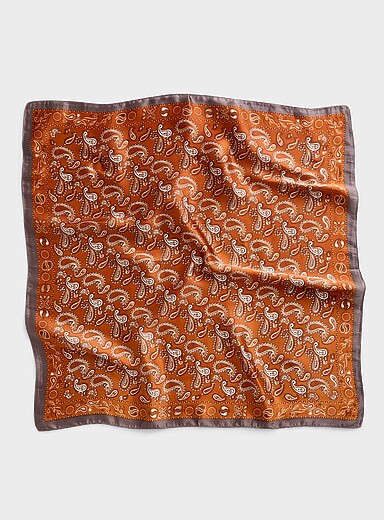 Two-tone paisley tie scarf