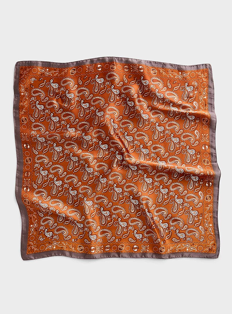 Two-Tone Paisley Tie Scarf
