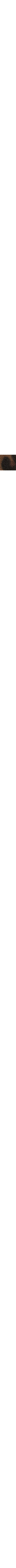 Brun à motifs