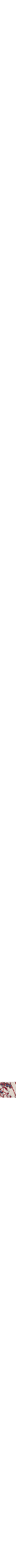 Rouge à motifs