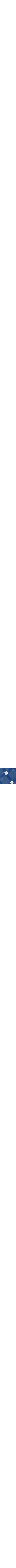 Patterned Blue