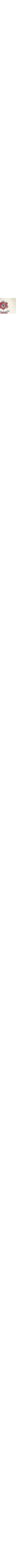 Blanc à motifs