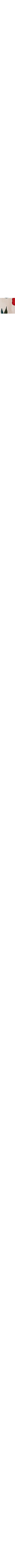 Blanc à motifs
