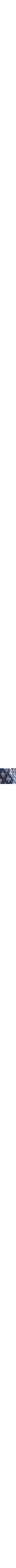 Bleu à motifs