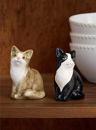 L'ensemble sali&egrave;re et poivri&egrave;re chats