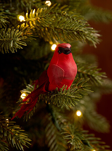 La pince adorable cardinal <b>Collection de No&euml;l</b>