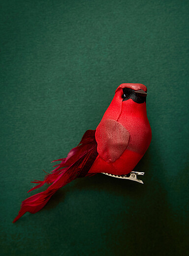 La pince adorable cardinal <b>Collection de No&euml;l</b>