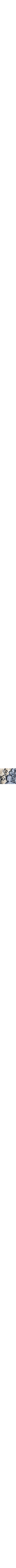 Patterned Blue
