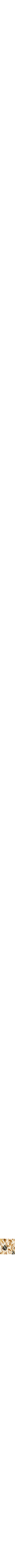 Jaune à motifs