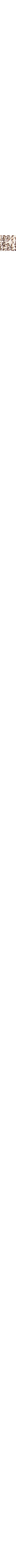 Patterned Ecru